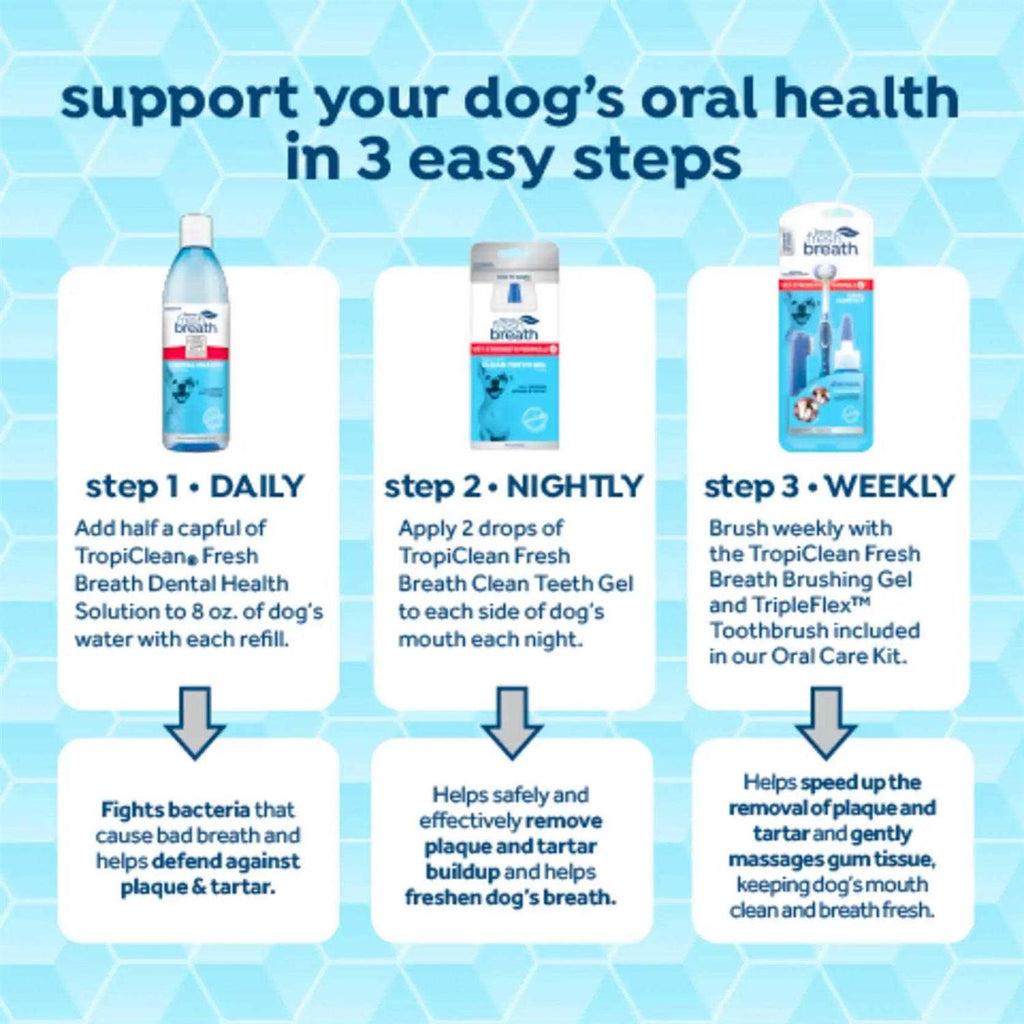 Fresh Breath Oral Care Clean Teeth Gel P373858