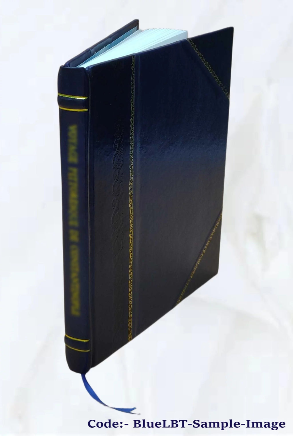 Hissar District Land Revenue Settlement 1875 Leather Bound X10999