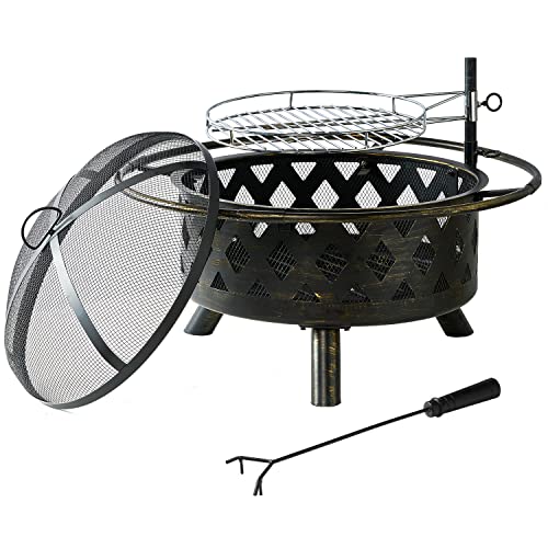 2 in 1 Wood Burning Fire Pit with Mesh Spark Screen Doors O885