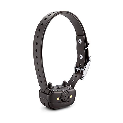 Rechargeable Dog Training Collar F6703