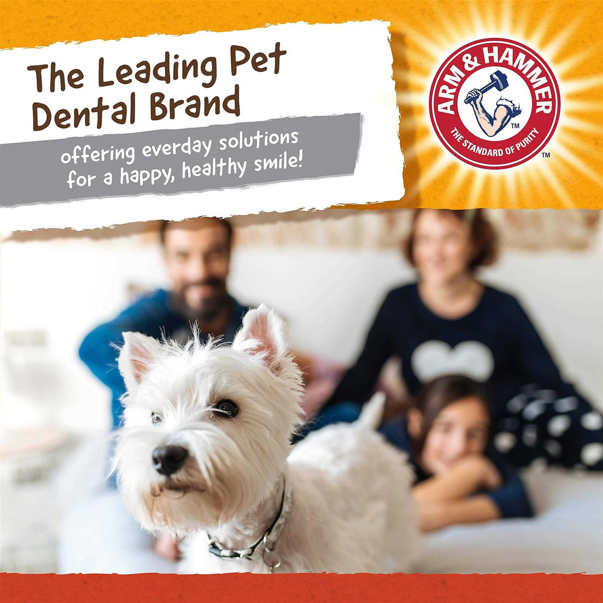 Gorilla Dental Dog Toy O654