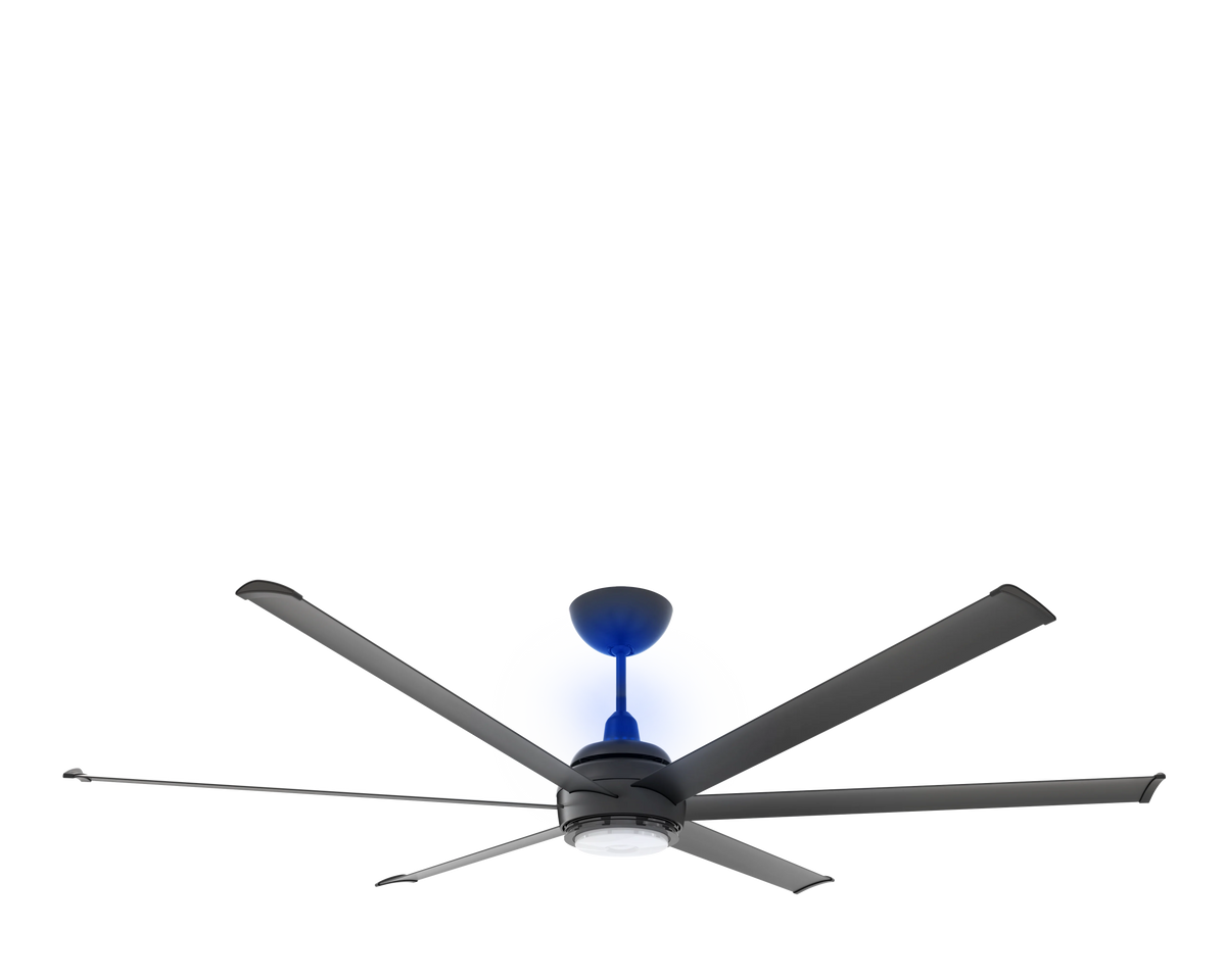Black Ceiling Fan W307878