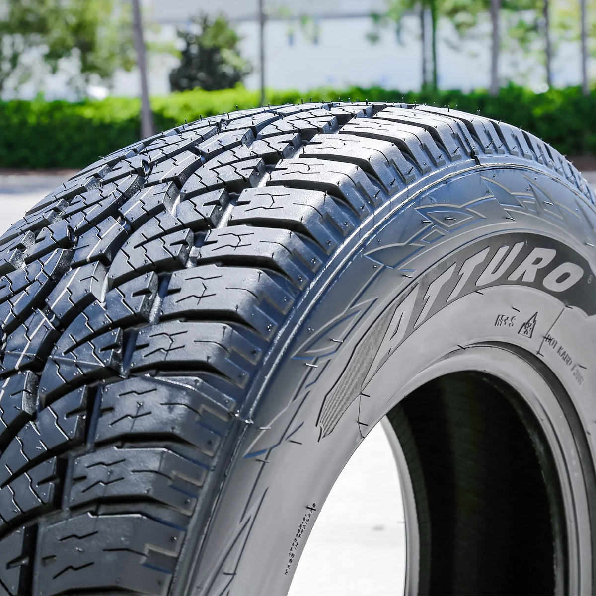 All Terrain Light Truck Tire B3901
