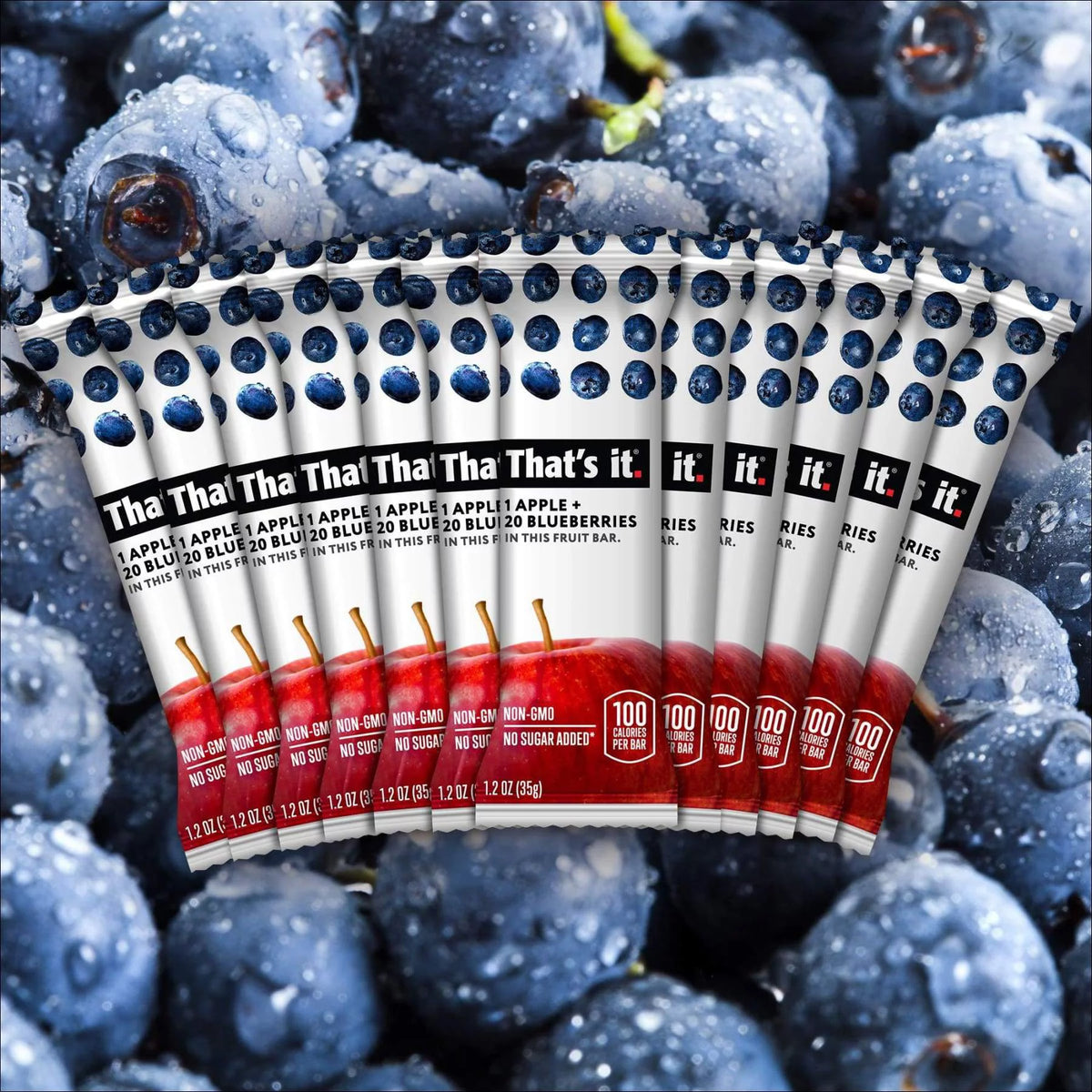 Apple Blueberry 100% Natural Fruit Bar 12 Pack D856