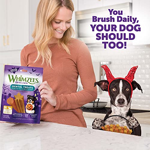 6 count Pack of 4 Natural Dental Chews for Dogs C949151