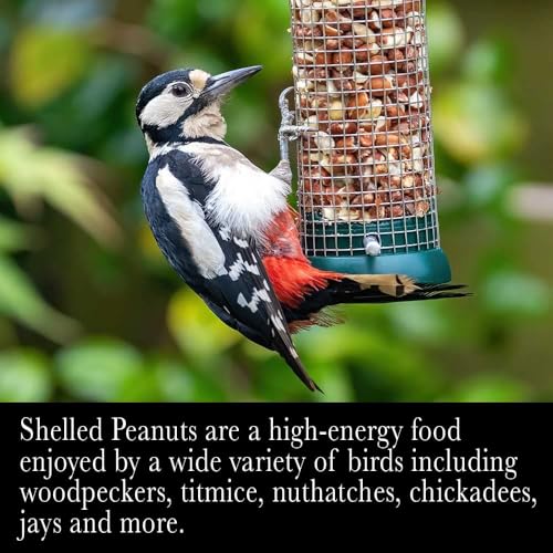 Shelled Peanuts Wild Bird Food 10 Pounds S844