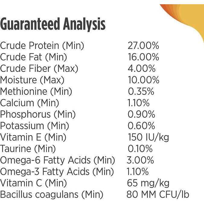 Turkey Dry Dog Food Y37080