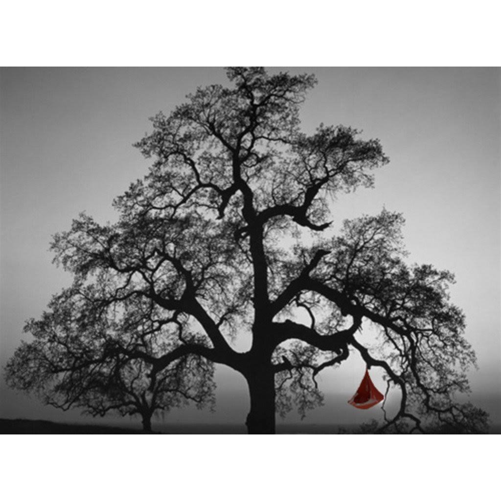 Single Hammock N561988
