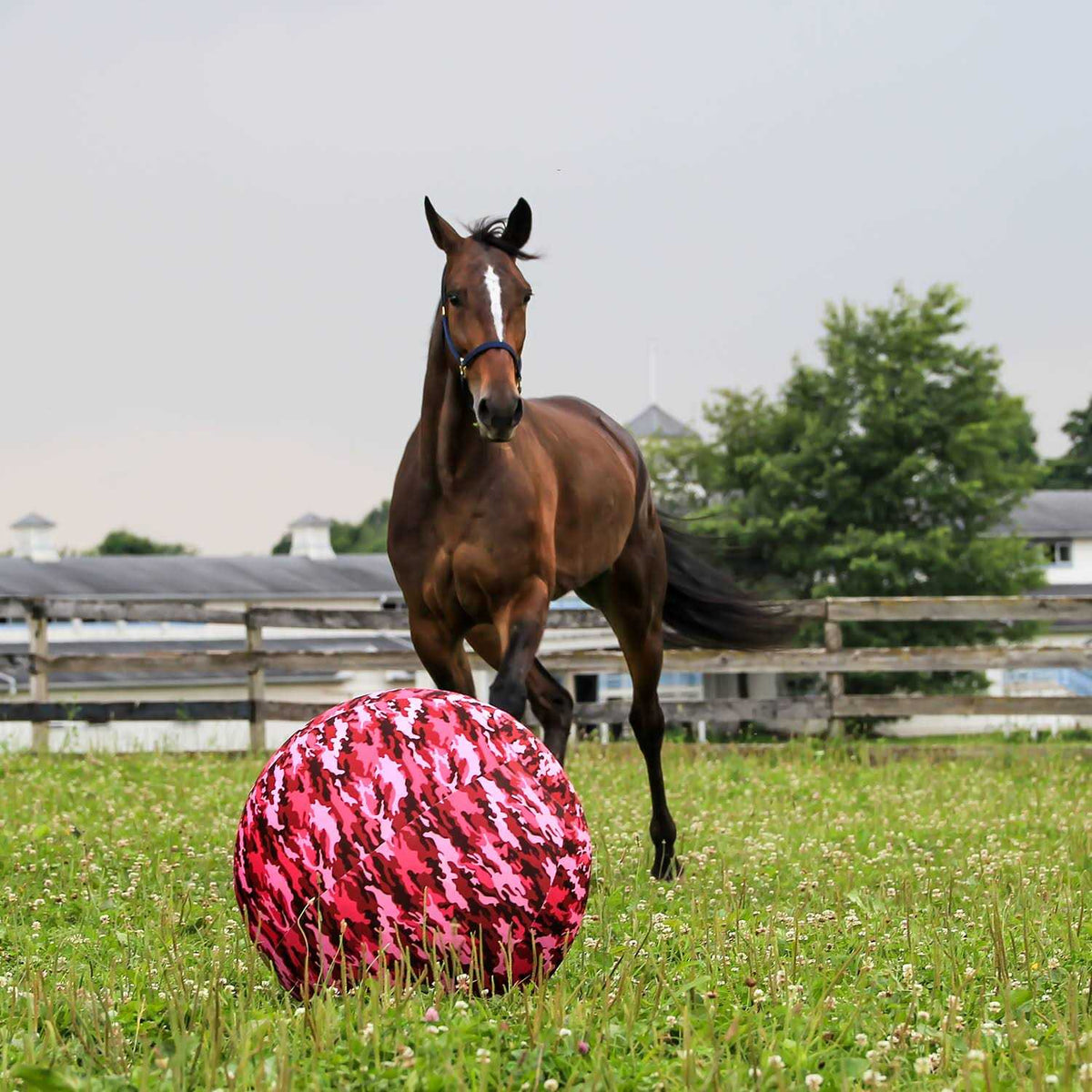 Jolly Mega Ball Cover J694836