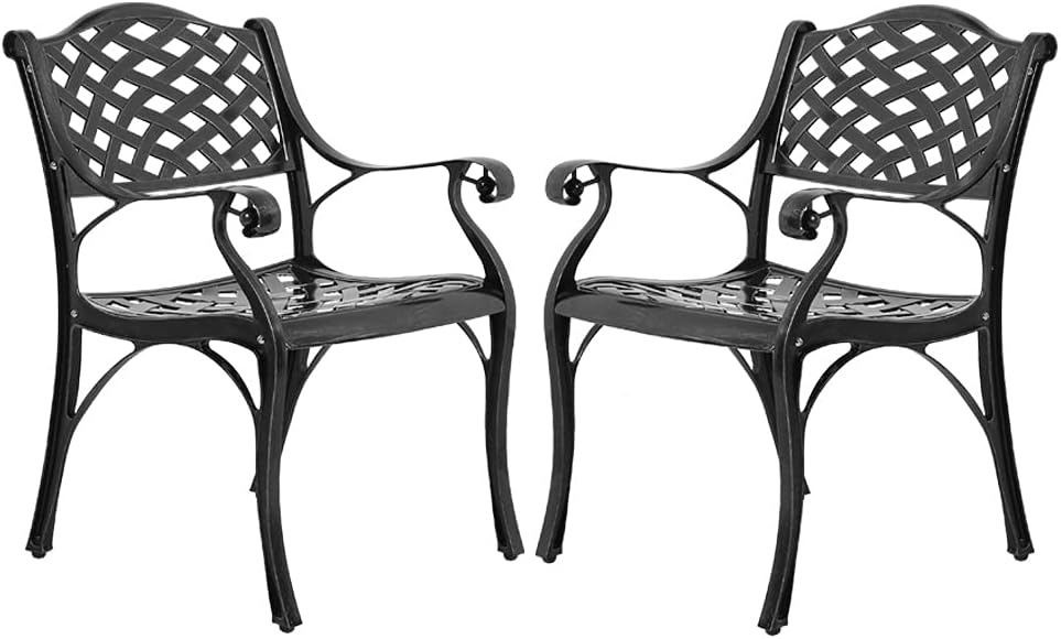 Cast Aluminum Outdoor Dining Chairs Set of 2 D9436