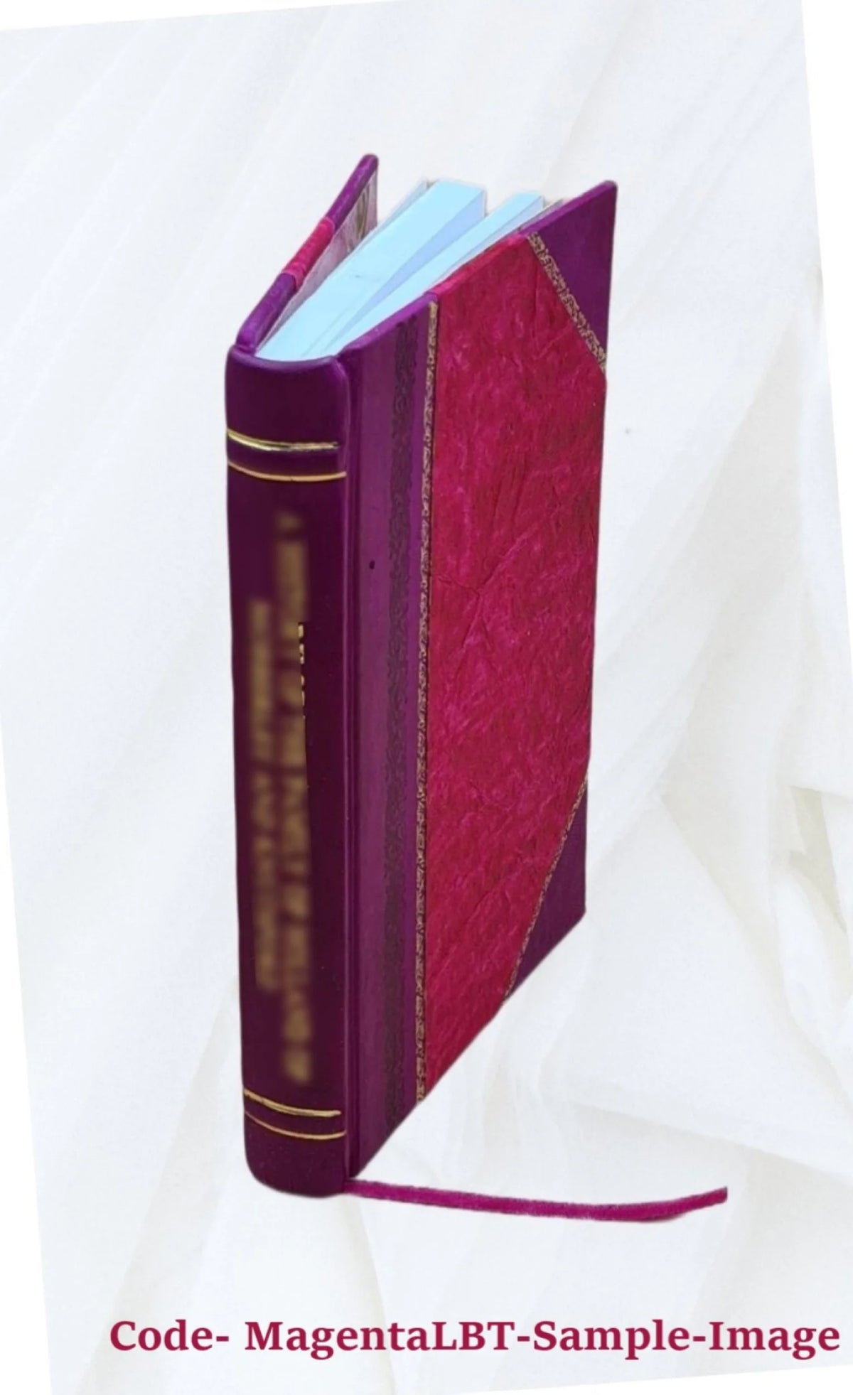 Hissar District Land Revenue Settlement 1875 Leather Bound X10999