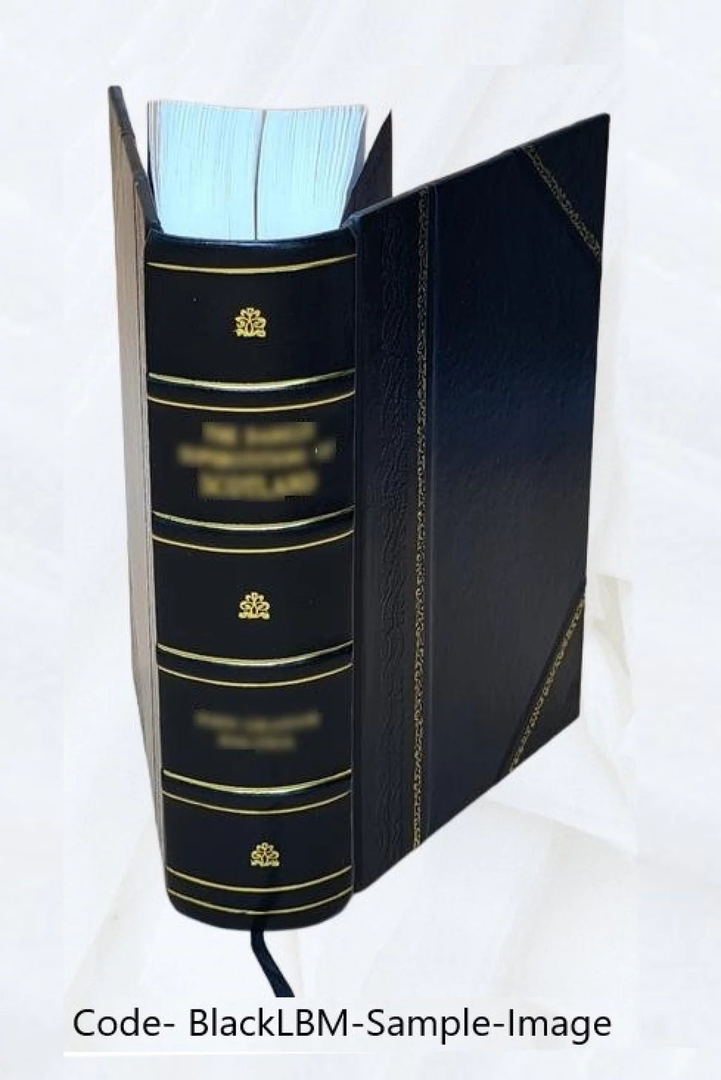 1920 Census Population Schedules Illinois Leather Bound D3128