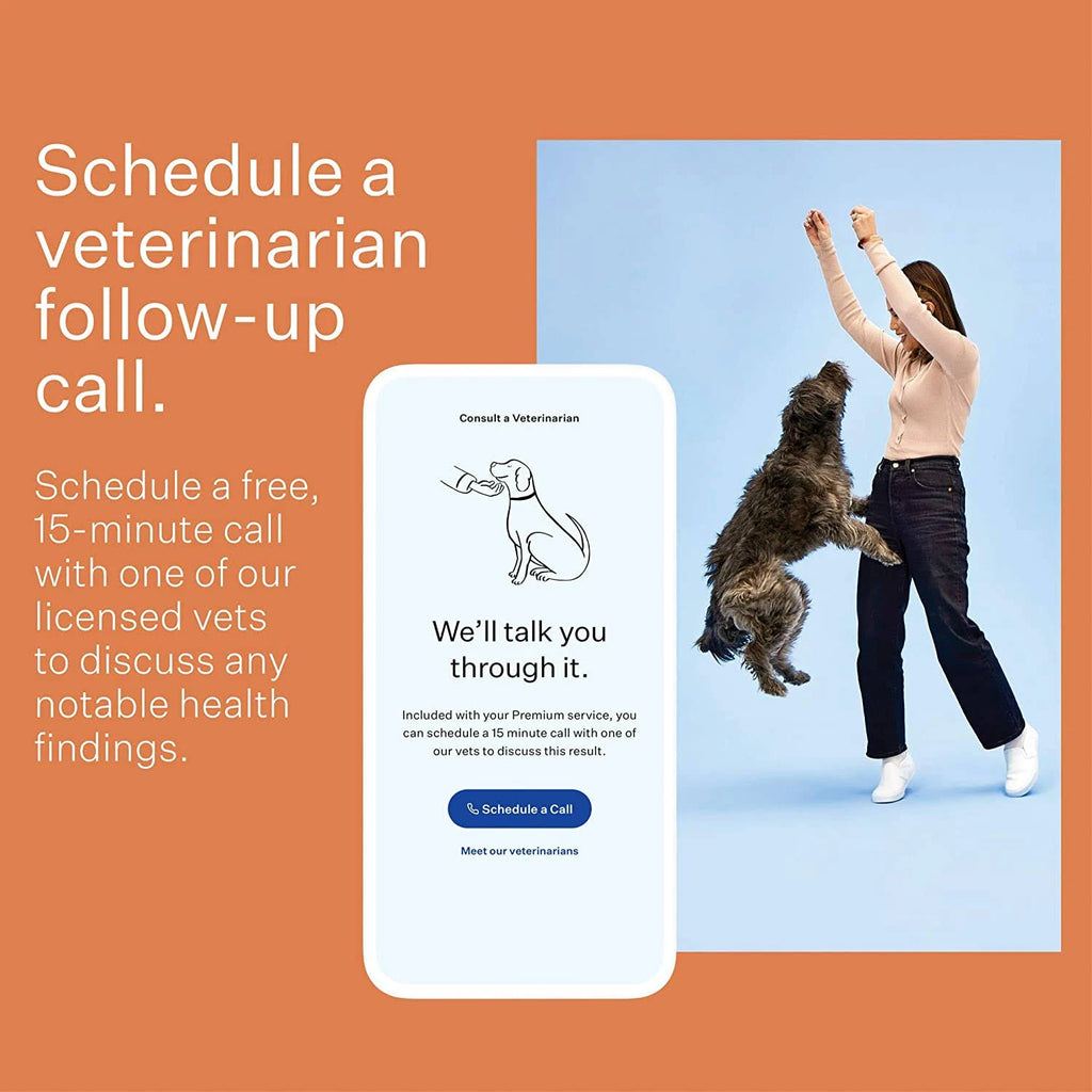 Dog Breed Identification DNA Test Kit A6818