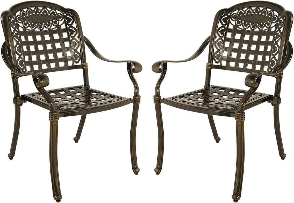 Cast Aluminum Outdoor Dining Chairs Set of 2 D9436