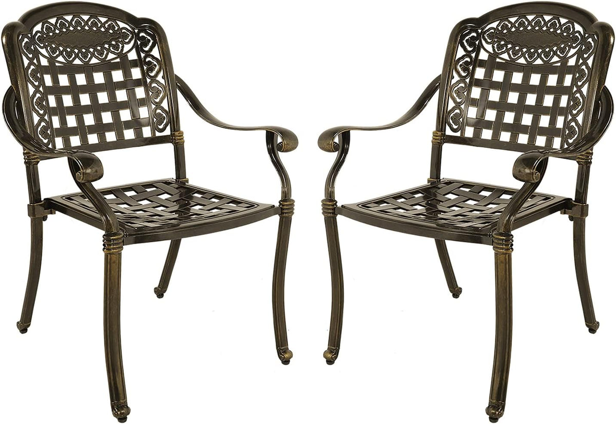 Cast Aluminum Outdoor Dining Chairs Set of 2 D9436