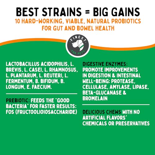 Probiotic 120 Soft Chews for Dogs P6330