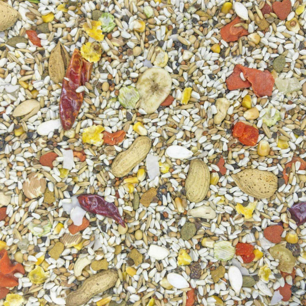 Safflower Gold Parrot Food C4244