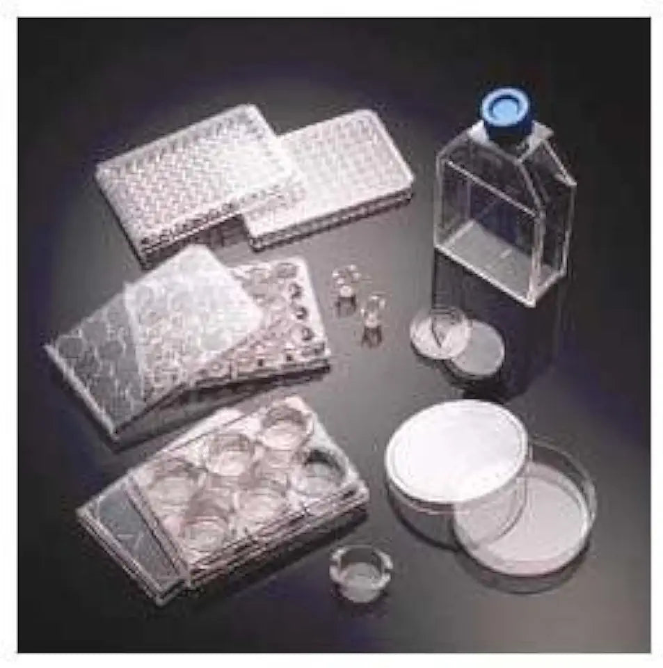 Collagen C3307