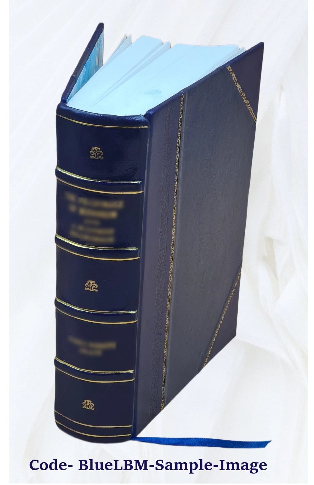 1920 Census Population Schedules Illinois Leather Bound D3128