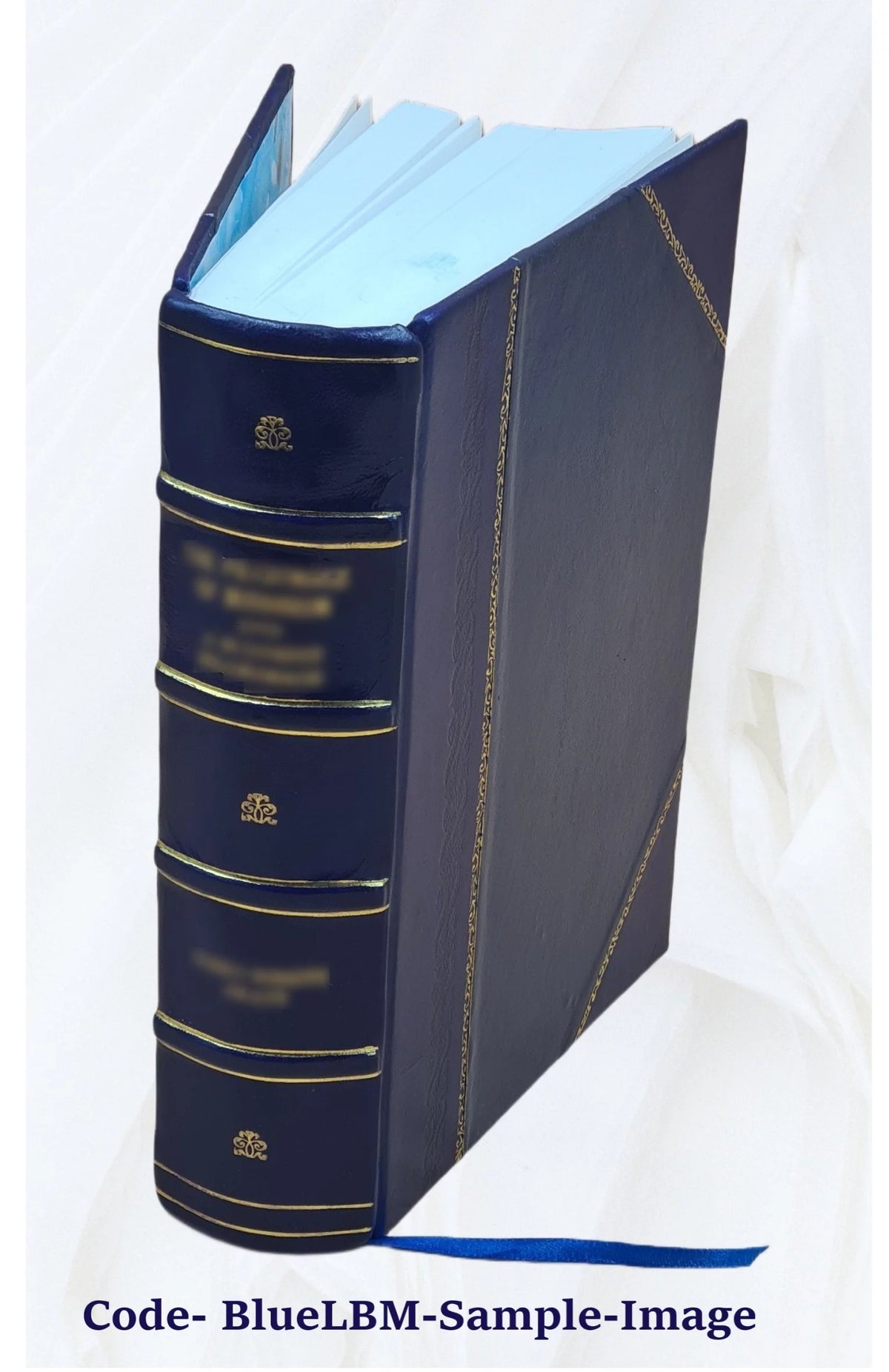 1920 Census Population Schedules Illinois Leather Bound D3128