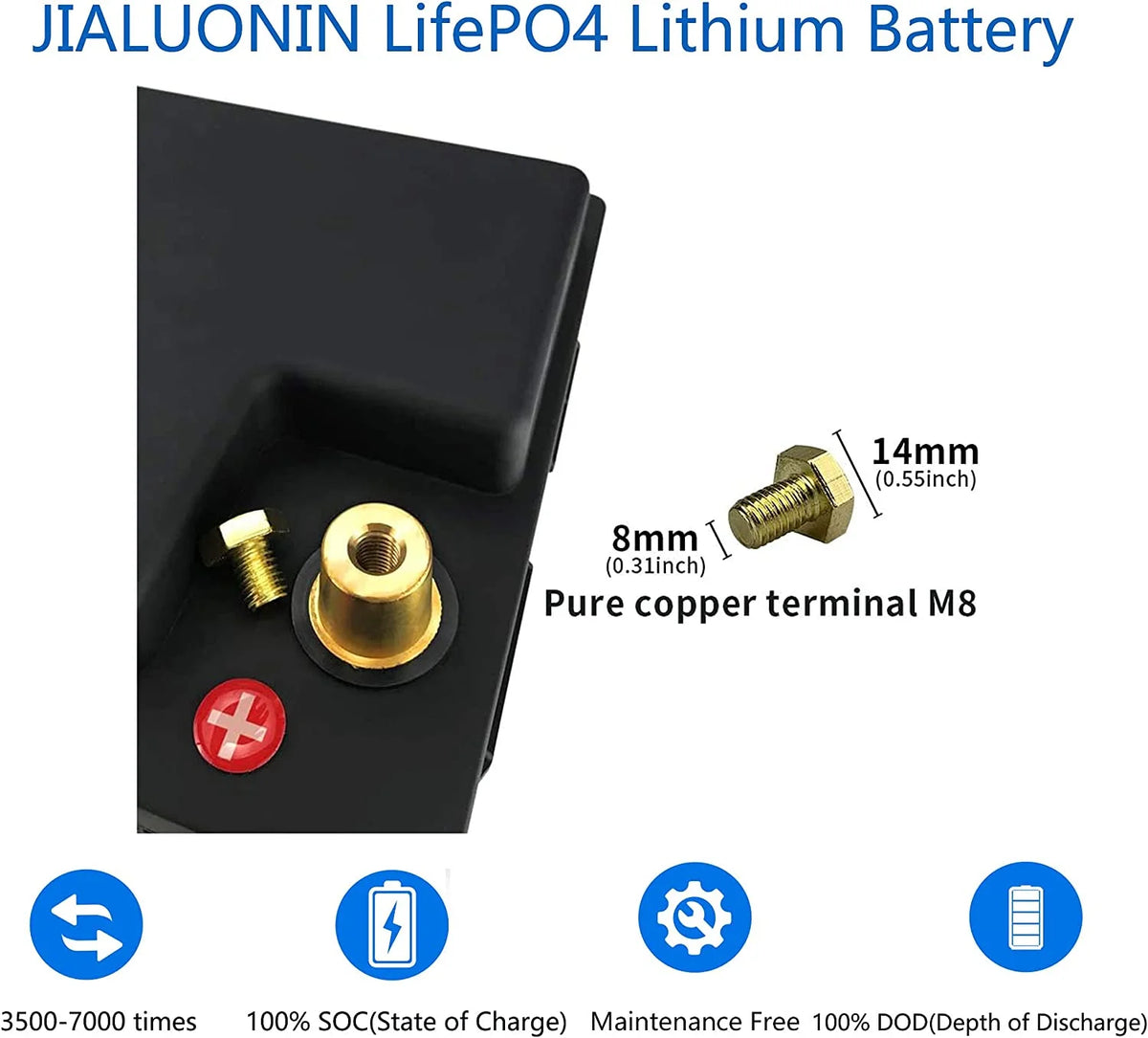 LiFePO4 Battery 12V 100Ah Lithium Iron Phosphate Battery with Built-in BMS F2305
