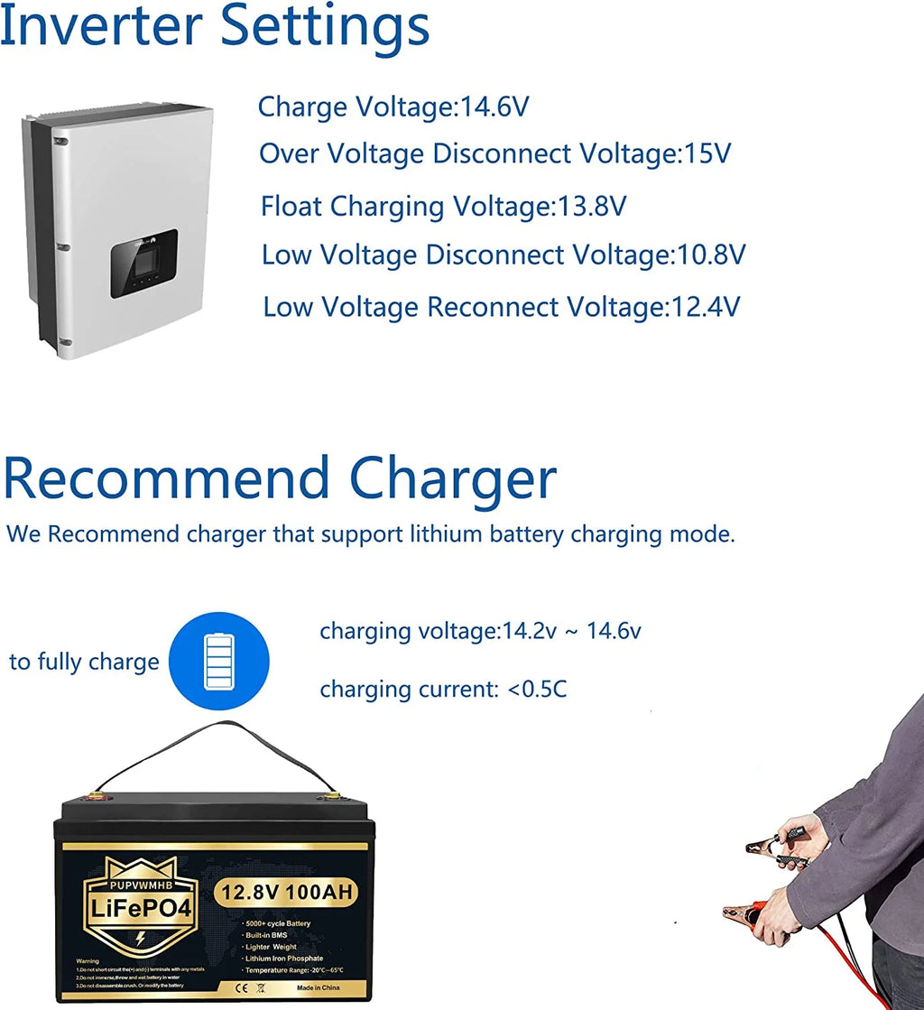 LiFePO4 Battery 12V 100Ah Lithium Iron Phosphate Battery with Built-in BMS F2305