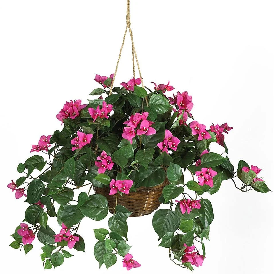 Silk Plant Hanging Basket N79884