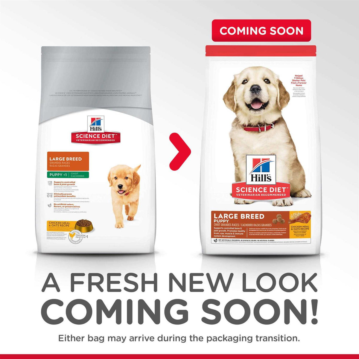 Large Breed Puppy Chicken Recipe Dry Dog Food E6019