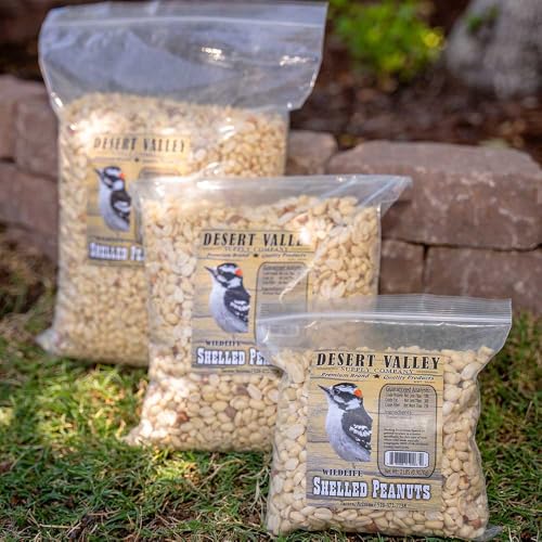 Shelled Peanuts Wild Bird Food 10 Pounds S844