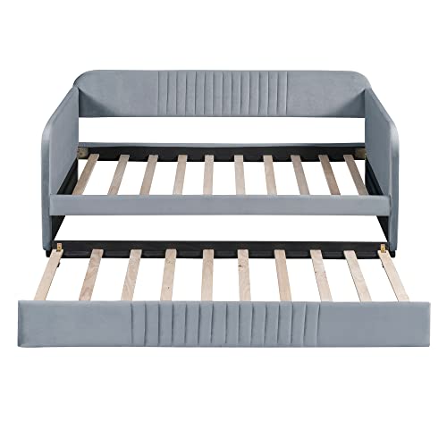 Twin Size Upholstered Daybed with 2 Storage Drawers Velvet L378