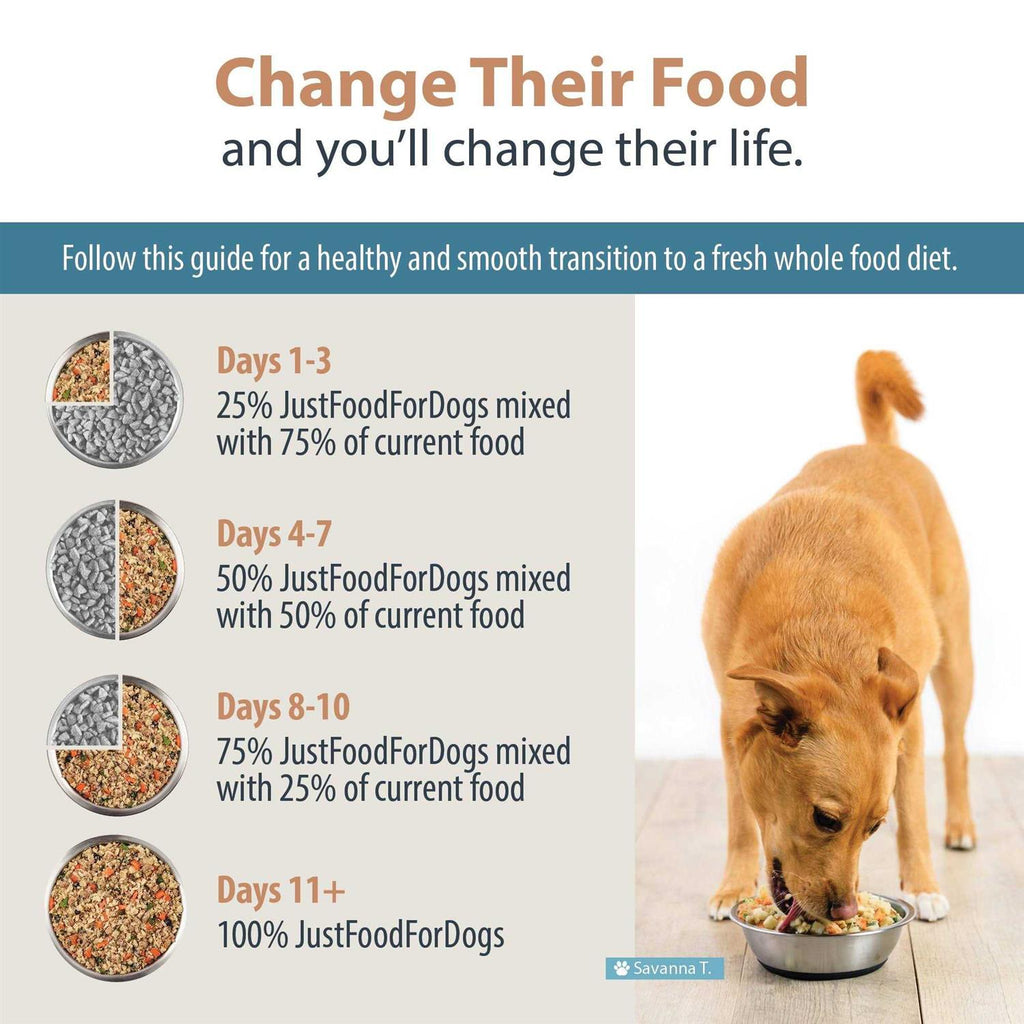 Frozen Dog Food E3022