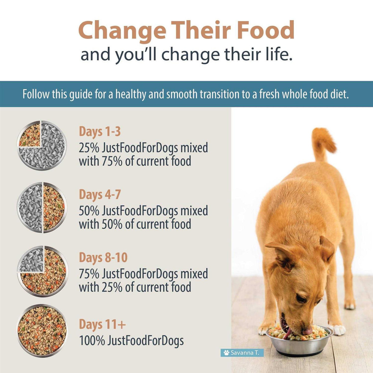 Frozen Dog Food E3022