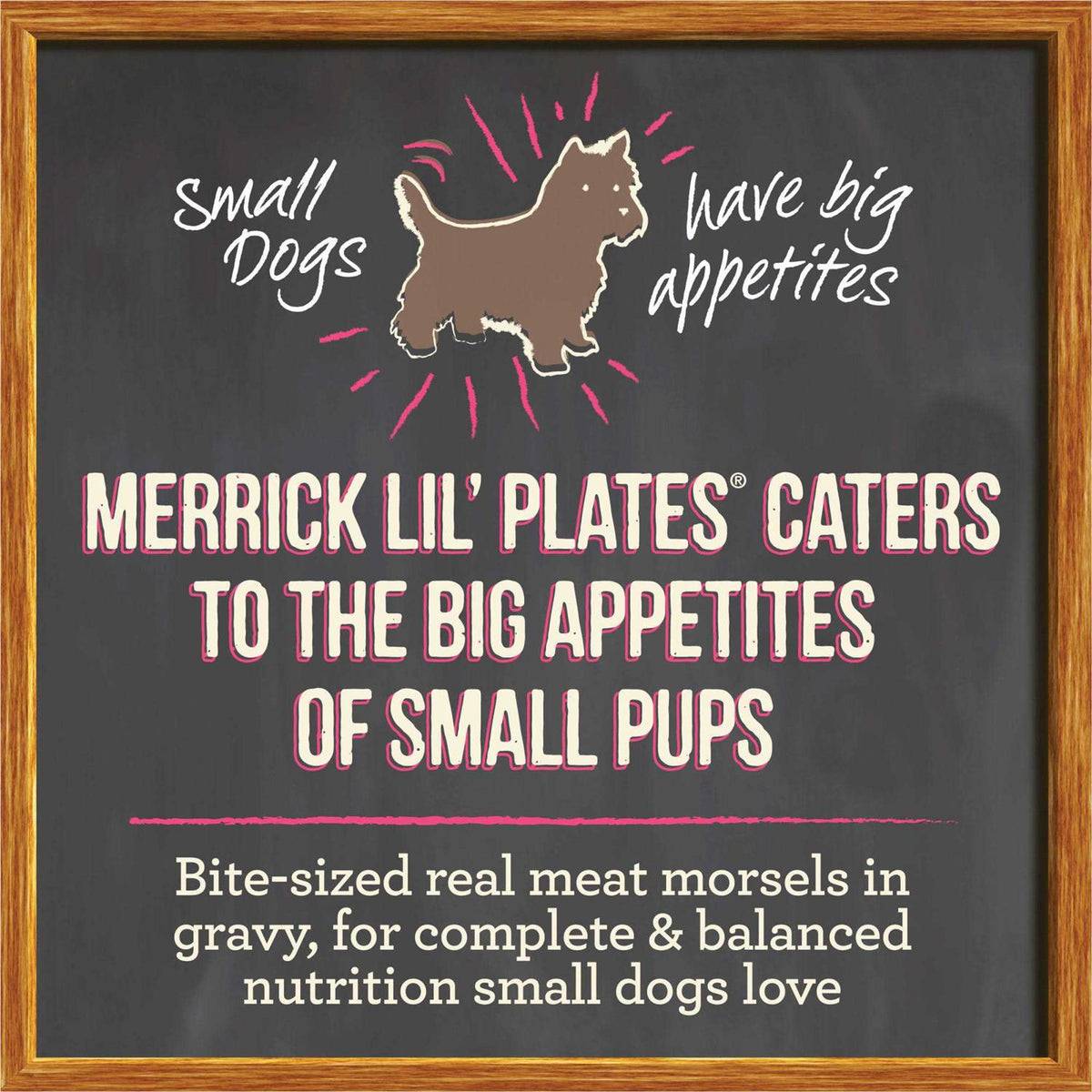 Wet Dog Food Variety Pack Y758