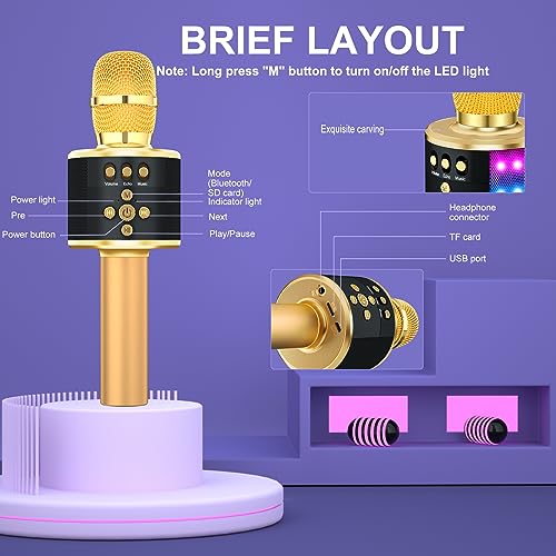 Bluetooth Karaoke Microphone with Disco Lights H338657