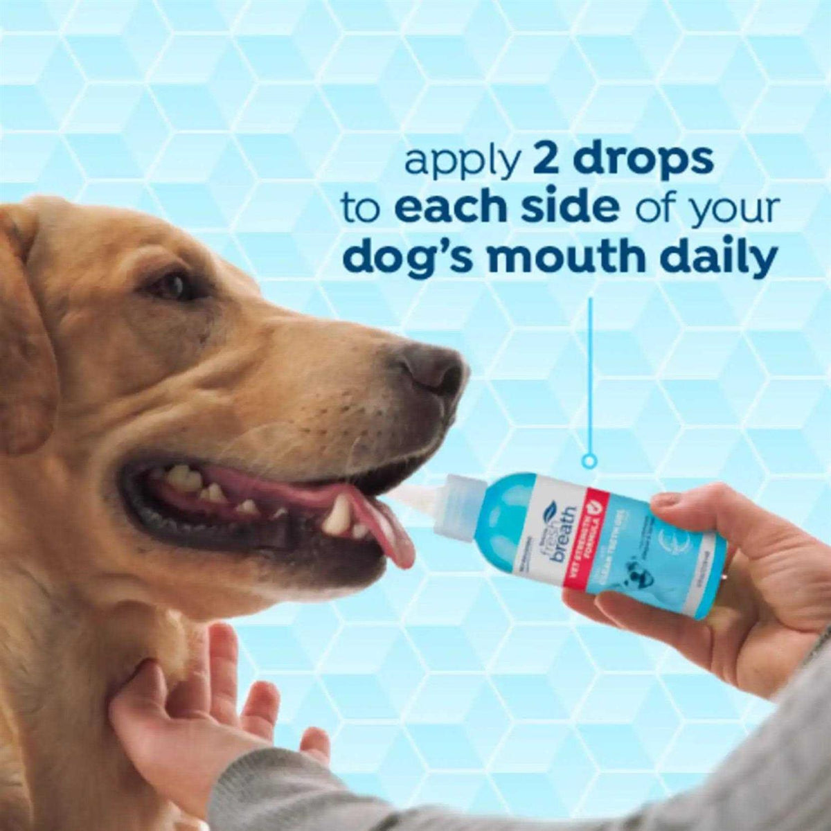 Fresh Breath Oral Care Clean Teeth Gel P373858