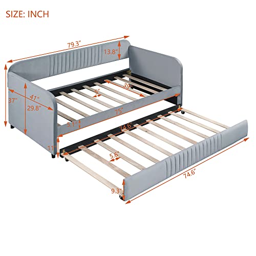Twin Size Upholstered Daybed with 2 Storage Drawers Velvet L378