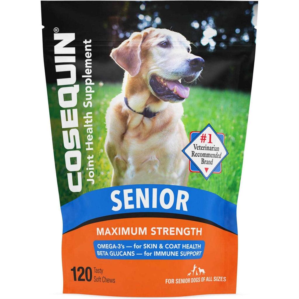 Joint Health Supplement for Senior Dogs W57199