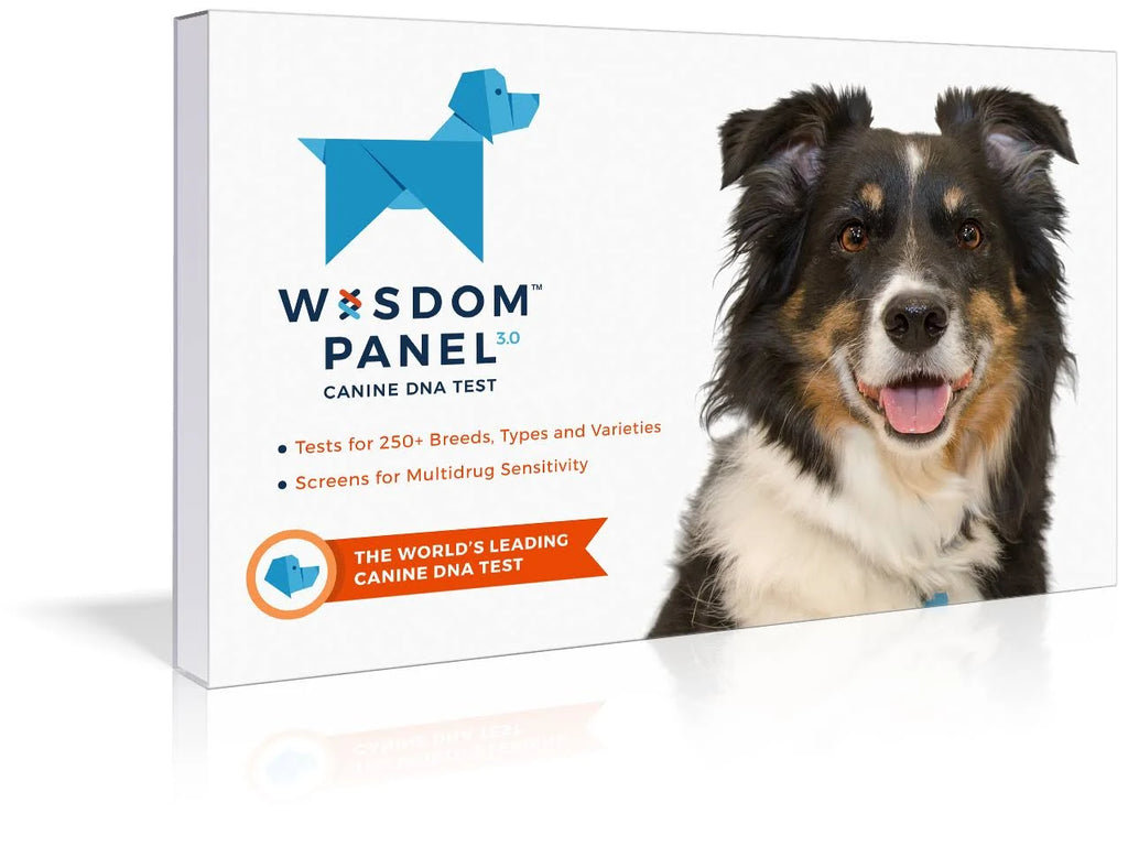 Dog Breed Identification DNA Test Kit A6818