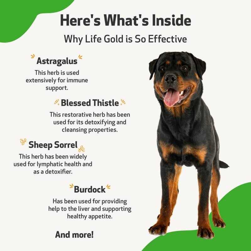 Life Gold for Dogs V3573