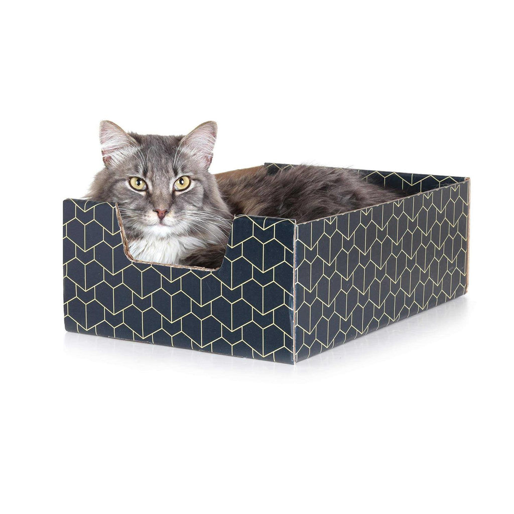 Blue Cat Box N46380