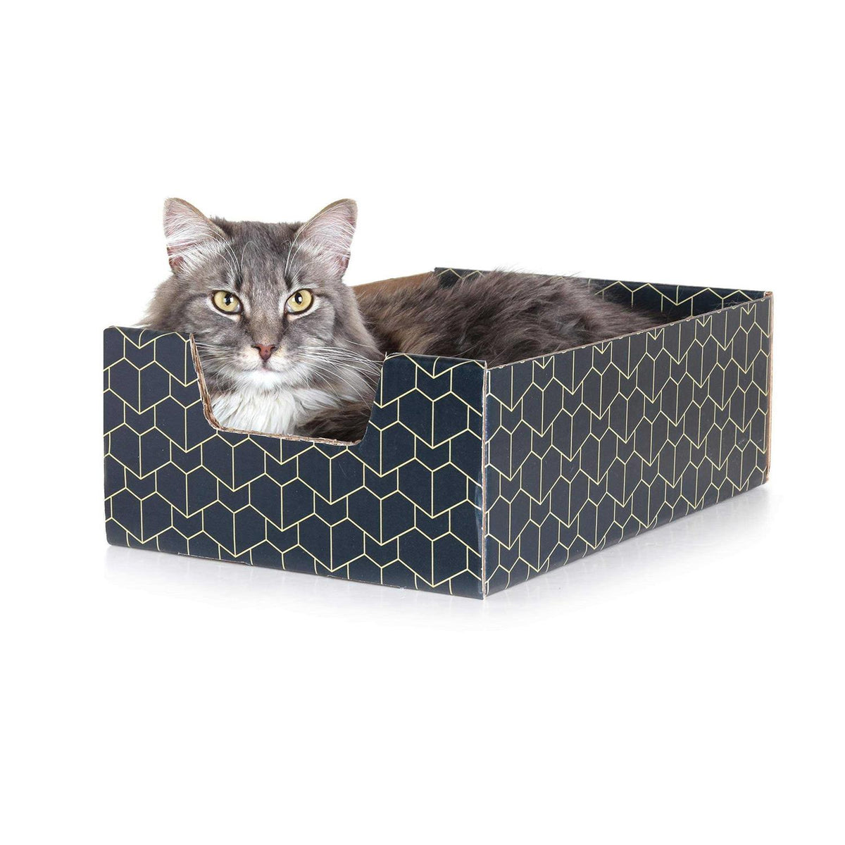Blue Cat Box N46380