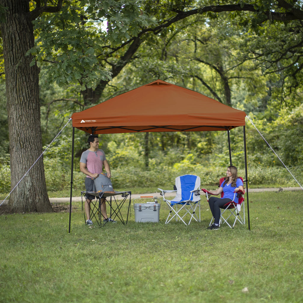 10 ft x 10 ft White Instant Canopy E66399