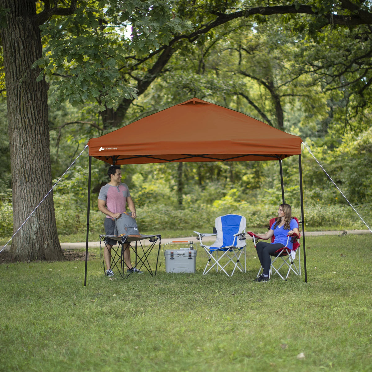 10 ft x 10 ft White Instant Canopy E66399