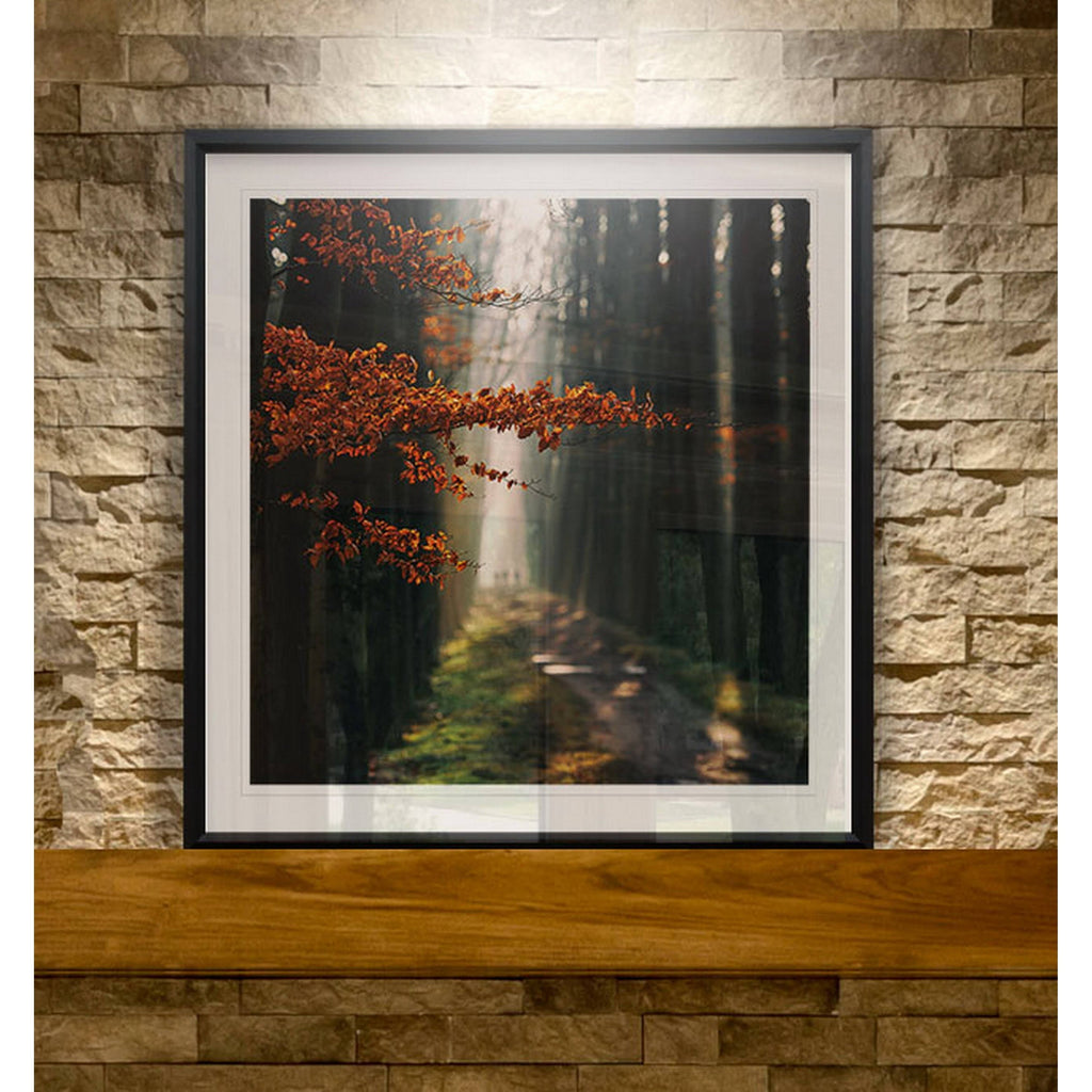 Three-Framed Giclee Print 28x28 A511184
