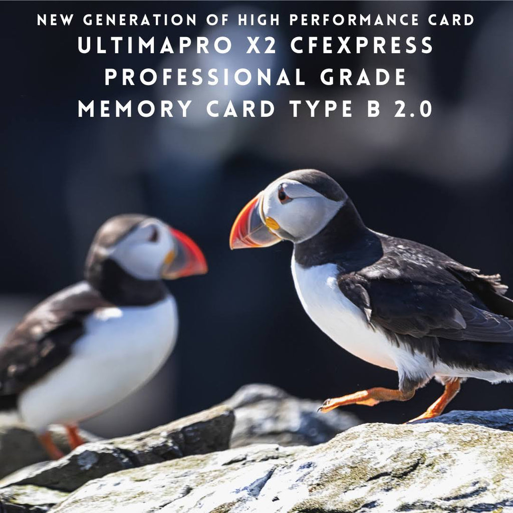 128GB CFexpress Memory Card Speed 1700/1600 MB/sec Read/Write T1338