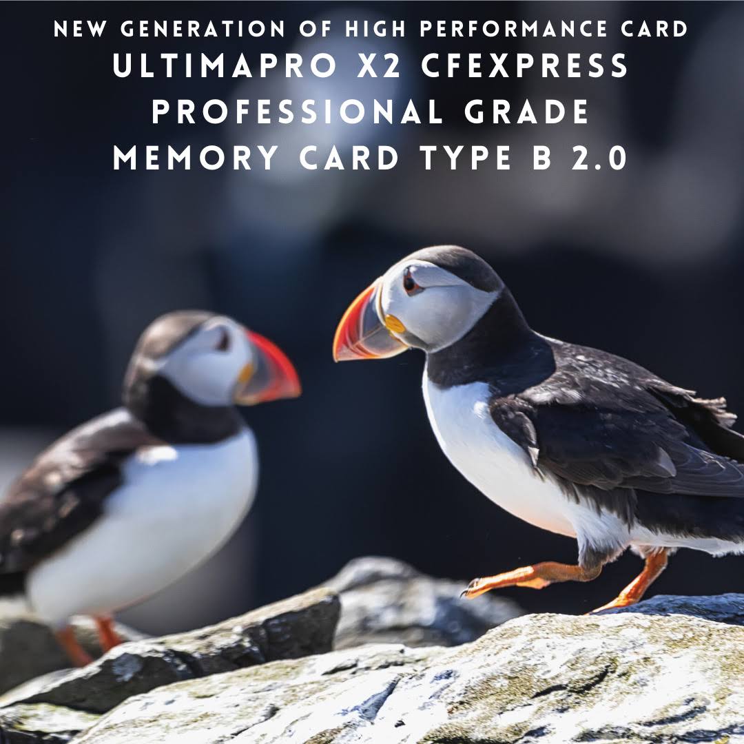 128GB CFexpress Memory Card Speed 1700/1600 MB/sec Read/Write T1338