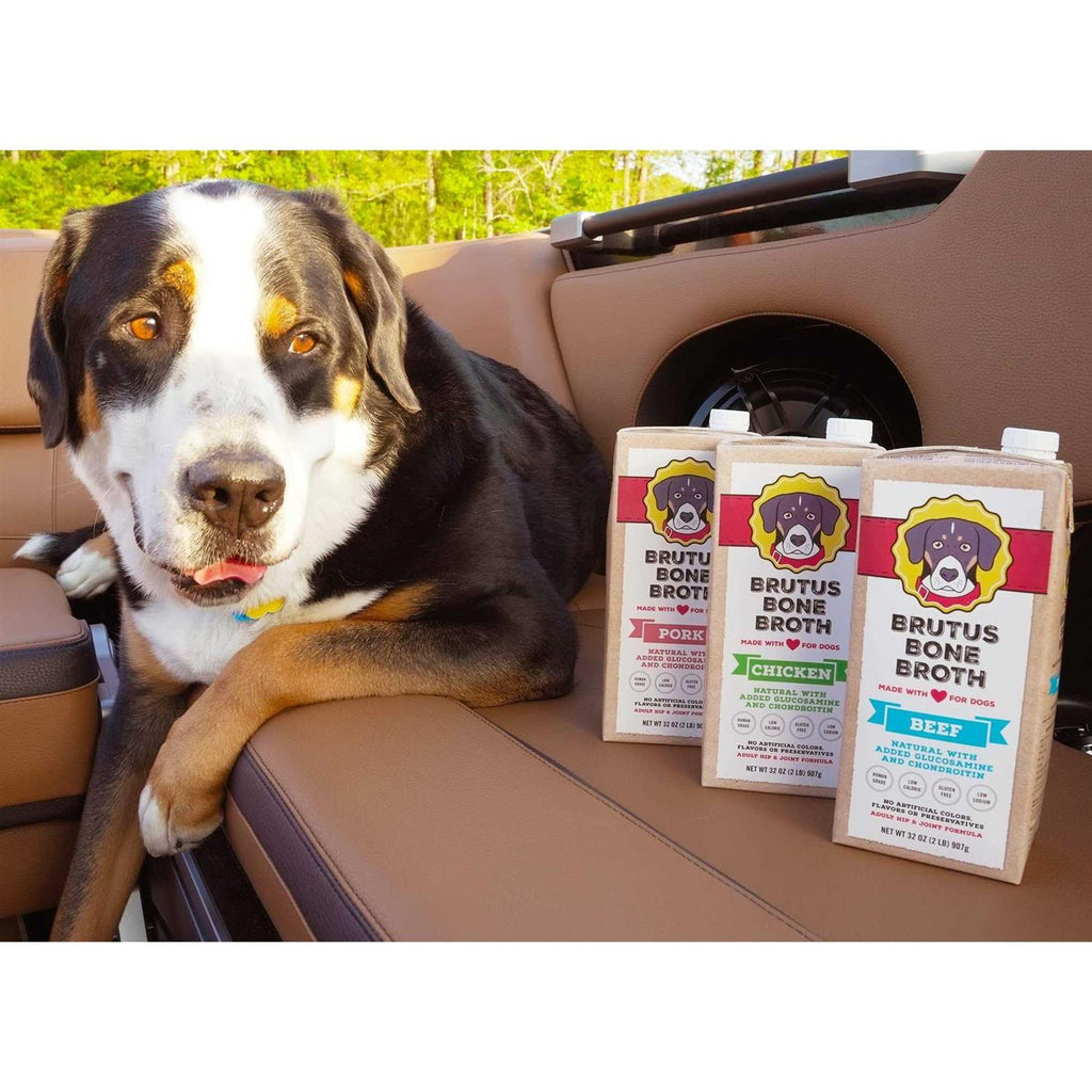 Chicken Bone Broth for Dogs H723182