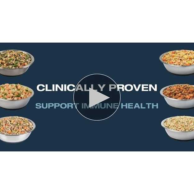 Frozen Dog Food E3022