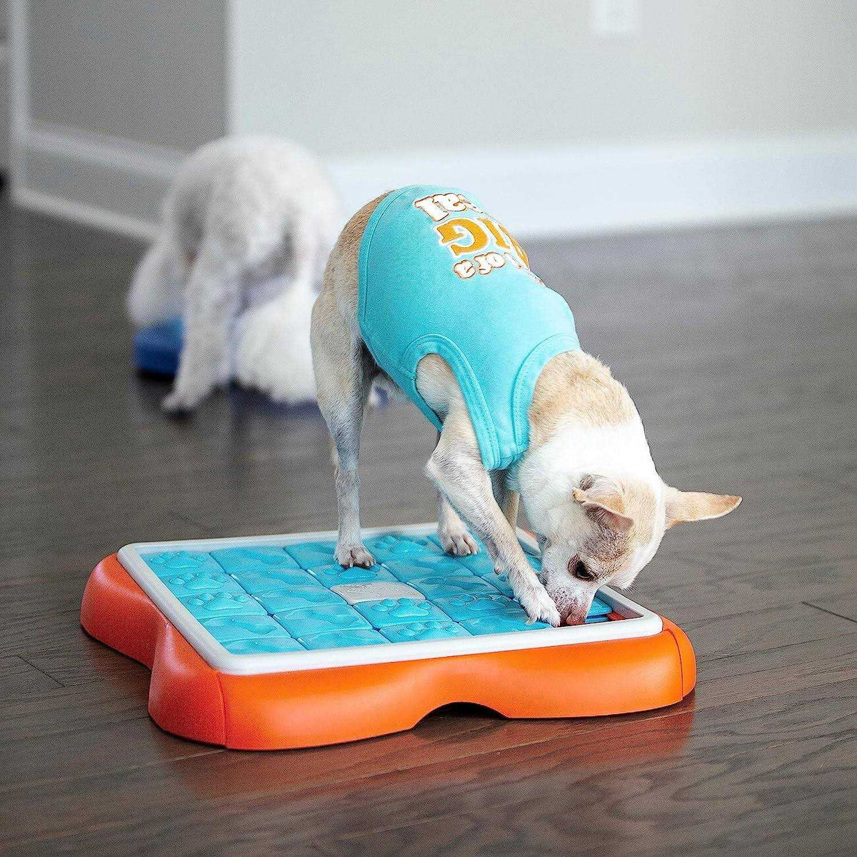 Challenge Slider Dog Puzzle Toy D738993