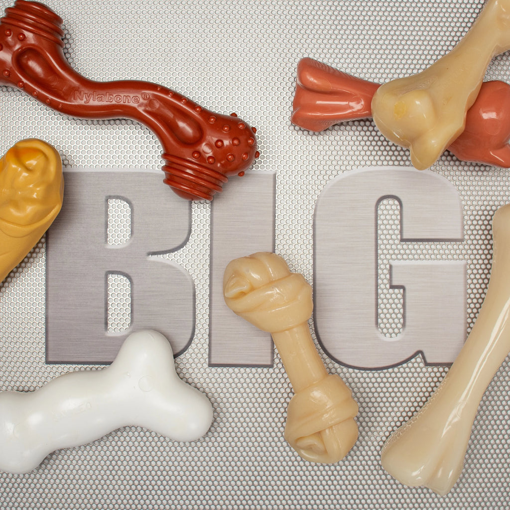 XX-Large Chicken Dog Chew Toy K88628